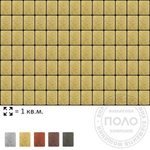 product-polo-6-005